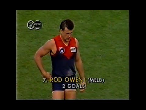1991 AFL - Melbourne v Footscray - Round 8 - MCG