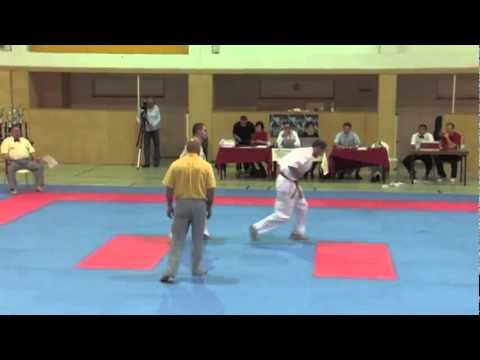 Komanov vs. Stojanovic - VIENNA OPEN - Erstes offenes internationales Kyokushin-Kan Karate Turnier