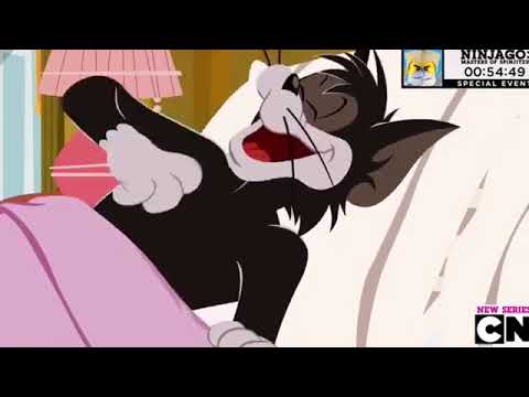 Tom and Jerry 2019 | Kartun Lucu 2019