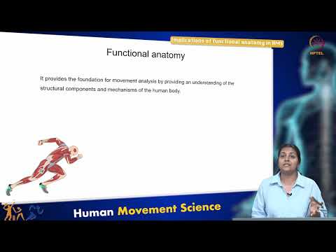 Implications of functional anatomy in HMS