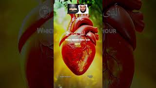 Download lagu Surah Ash-'sharh by 𝗥𝗲𝗰𝗶𝘁𝗲𝗿 𝐌𝐢𝐬𝐡𝐚𝐫𝐲 𝐑𝐚𝐬𝐡𝐢𝐝 𝐀𝐥 𝐀𝐟𝐚𝐬𝐲. (𝘌𝘯𝘨𝘭𝘪𝘴𝘩 𝘛𝘳𝘢𝘯𝘴𝘭𝘢𝘵𝘪𝘰𝘯)@islam-AY-q8j mp3 Download lagu Surah Ash-'sharh by 𝗥𝗲𝗰𝗶𝘁𝗲𝗿 𝐌𝐢𝐬𝐡𝐚𝐫𝐲 𝐑𝐚𝐬𝐡𝐢𝐝 𝐀𝐥 𝐀𝐟𝐚𝐬𝐲. (𝘌𝘯𝘨𝘭𝘪𝘴𝘩 𝘛𝘳𝘢𝘯𝘴𝘭𝘢𝘵𝘪𝘰𝘯)@islam-AY-q8j mp3