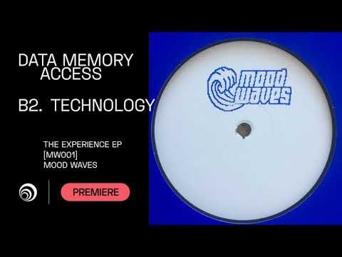 Data Memory Access (Giammarco Orsini & Jacopo Latini) - Technology [MW001]