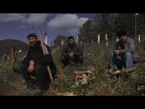 Трейлер