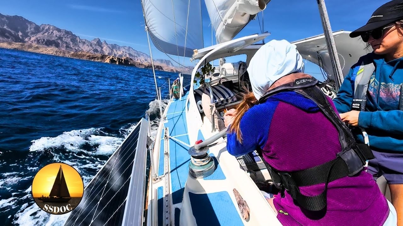 The EPIC Baja Sailing Life | GALES, Dolphins, & SHARKS!  - Ep. 97