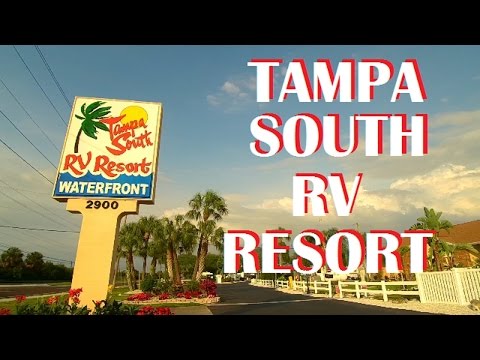 Ten Great Places To Meet Cougars In Tampa