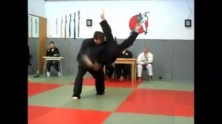 Jiu Jitsu - Prüfung zum 2. Dan (2. Schwarzgurt) - Jan