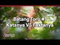 Batang Toru #1: Katanya vs Faktanya