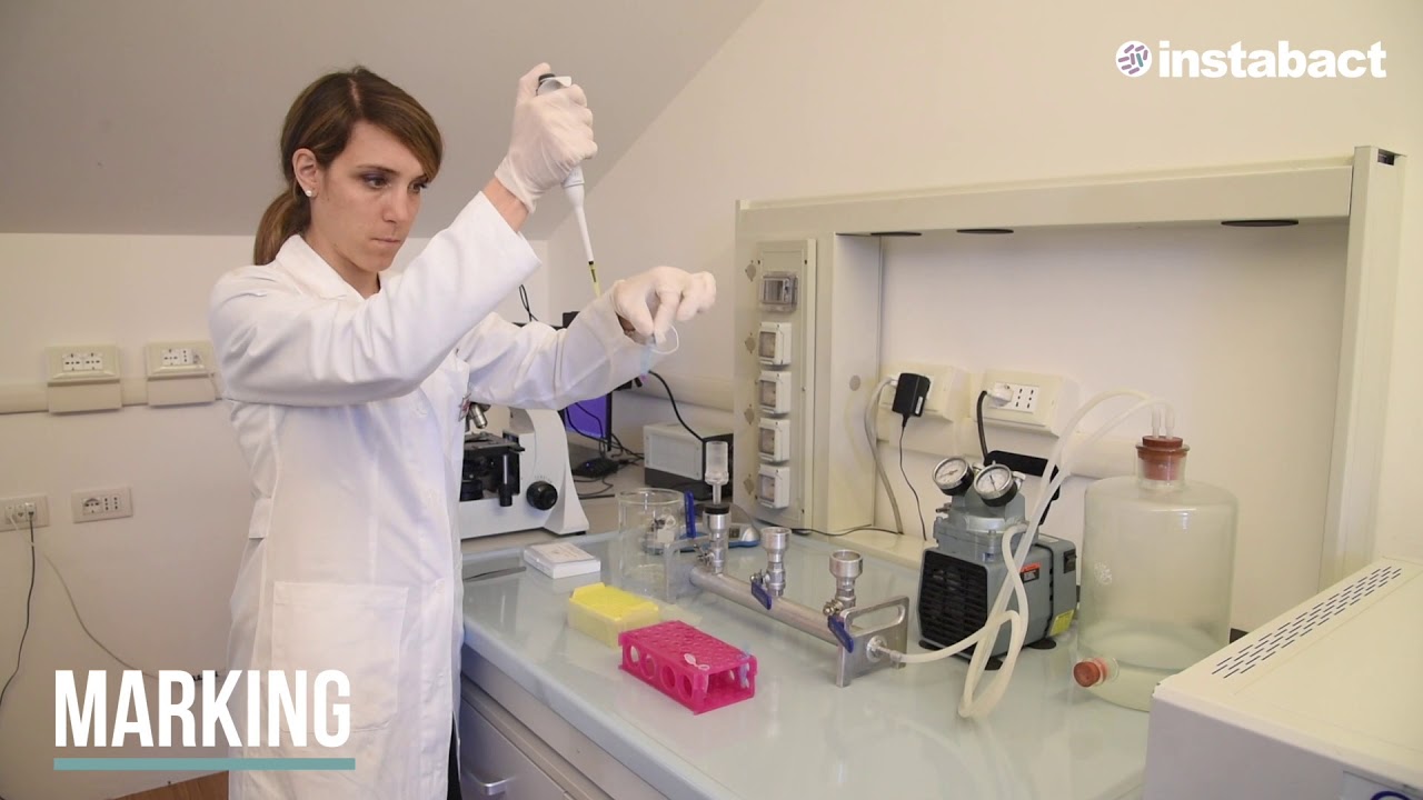 Instabact | Bacteria Fast Detection (ENG)