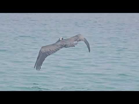 Exploring Cerro Brujo, San Cristobal Island, Galapagos Islands, Ecuador