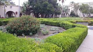 How to Create a Paradise Garden