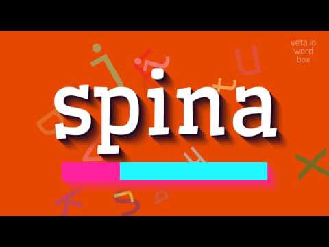 How to say "spina"! (High Quality Voices)