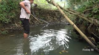 Xóc Đĩa Online - Wild Fishing Catch Many Of Fish In The Lake, Use A Large Capaci