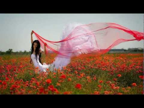 Demis Roussos: My Friend the Wind - by Edi