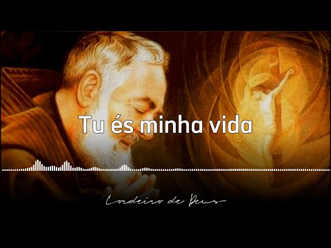 Estás entre nós - Coral do Seminário Maria Mater Ecclesiae |  MÚSICAS CATÓLICAS