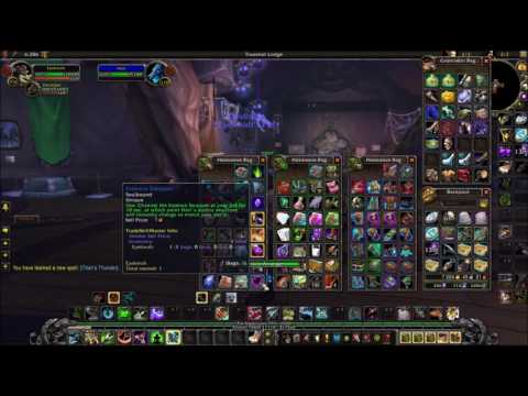 [WOW Pandaria Hunter Pet] Devilsaur - Thok the Bloodthirsty