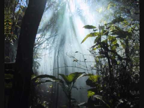 Ayahuasca (1200 mics)