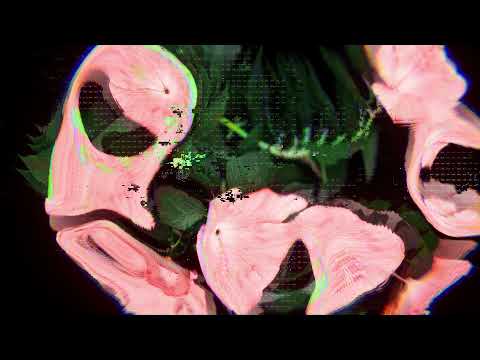 TIBASKO - Hibiscus (Official Video)