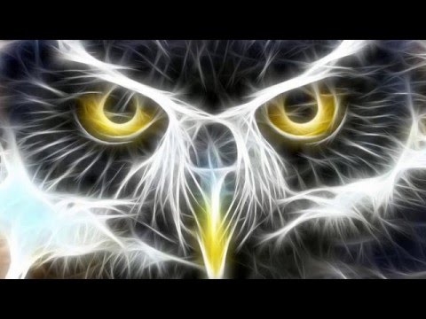 Mareik Remix - Shiny Owl (Jamie Stevens & Jess Glynne & Maestro Harrell & Oliver Lieb)