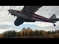 SuperCub Moose Strip