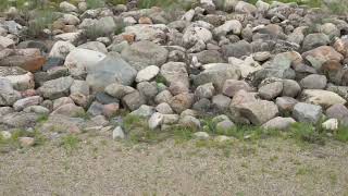 Gardiner Dam near Elbow,  Saskatchewan 