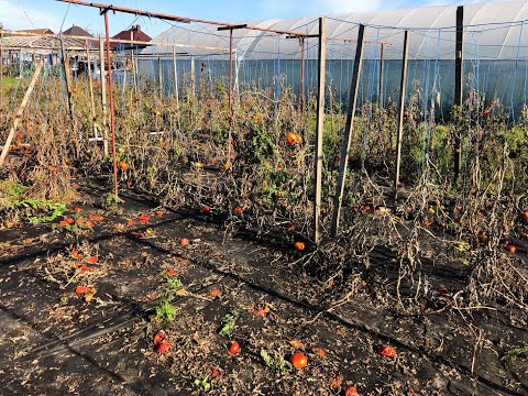 Z našej záhrady 13 - Koniec rajskej záhrady