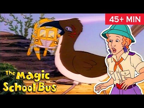 All Dried Up | In the City | Full Episodes | The Magic School Bus | Scholastic Classic