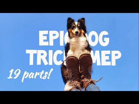 Epic Dog Tricks MEP | Centuries | CLOSED (18/18 done)