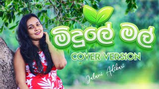 Midule Mal Sooriya Gaha Mudune Cover Version  Jala