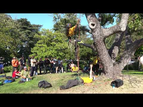 Taylor Hamel at TreeTopia (Part 3)