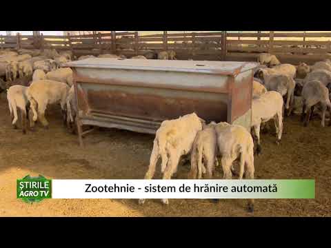 , title : 'Zootehnie   sistem de hrănire automată 29 06 2021'