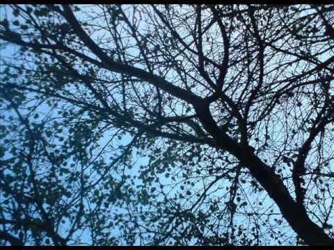 download lagu mp3 mp4 Phil Collins Tearing And Breaking, download lagu Phil Collins Tearing And Breaking gratis, unduh video klip Phil Collins Tearing And Breaking