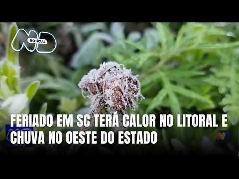 Geada atinge São Joaquim e tempo muda no Oeste de Santa Catarina