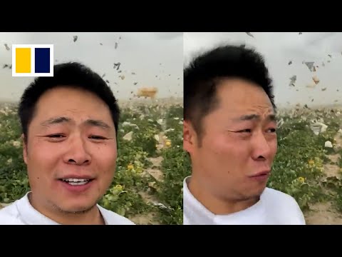 Sandstorm batters Chinese farm as live-streamer tries selling melons