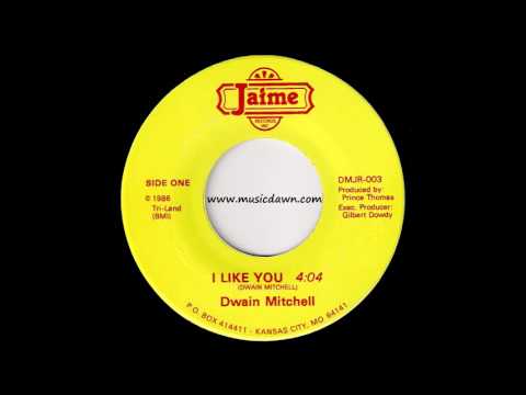 Dwain Mitchell - I Like You [Jaime] 1986 Modern Soul Stepper 45 Video