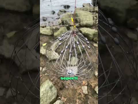 Cara Menangkap Ikan Paling Unik 😮