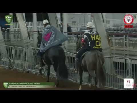 CBM 2025 Champion of Champions in Marcha Batida