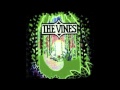 Get Free-The Vines