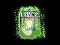 Get Free-The Vines 