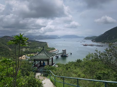 靜心感受南丫島上的陽光與風【低調君的Vlog｜Vol.82｜Travel】