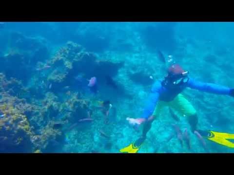 Gopro-Speed Boat Ride and Snorkeling , Bavaro Beach, Punta Cana