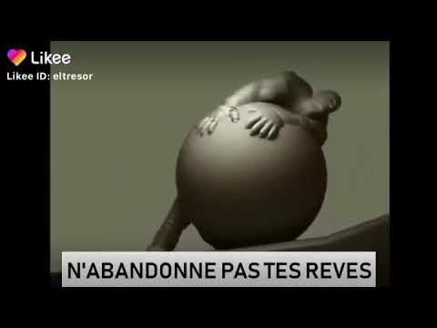 N'abandonnez jamais
