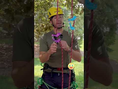 Rock Exotica Akimbo 2 - First Impression