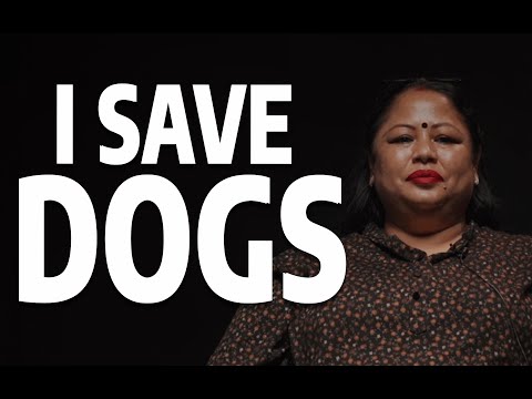 I’ve Rescued 3,000+ Stray Dogs  @TheUntold_Akathit
