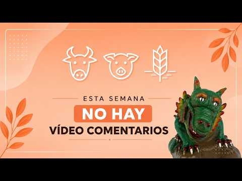 No hay vídeo comentarios