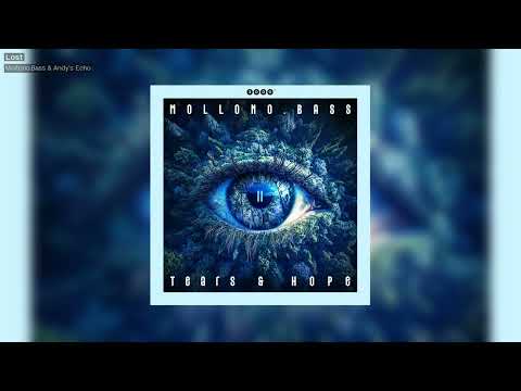 Mollono Bass & Andy's Echo - Lost - 3000Grad