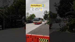 Download lagu Bus Mulyo #shorts #automobile #transportasi #busmania mp3 Download lagu Bus Mulyo #shorts #automobile #transportasi #busmania mp3