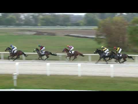 2020.10.25. 07. futam - NYERETLENEK VERSENYE (V.kat.) (szintetikus pálya)