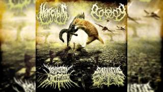 Mancubus, Biotomy, Asphyxiation Crucifixion, Sadistic Experiments - 4-Way Split-EP (Full Stream)