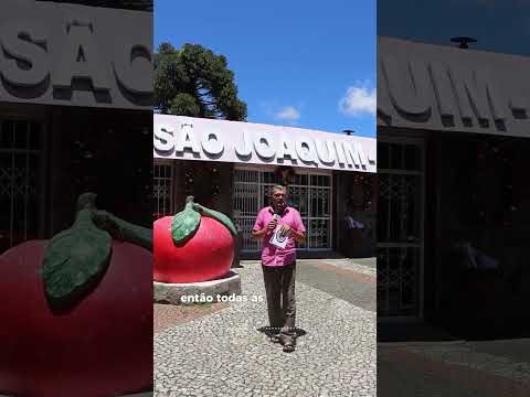 Cidade de São Joaquim em Santa Catarina |   #tvrsb