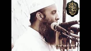 صورة سبب فشل العرب وتأخرهم !!| للشيخ الحويني